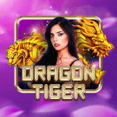 Dragon Tiger live dealer on Plus Casino