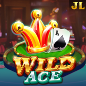 Wild Ace Plus Casino slot machine